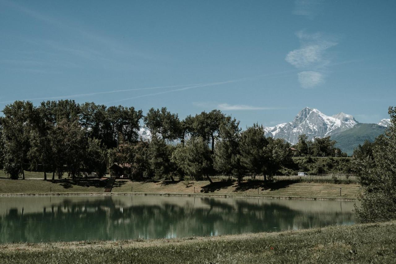 Bed and Breakfast L'Anfora Country Club Basciano Екстер'єр фото