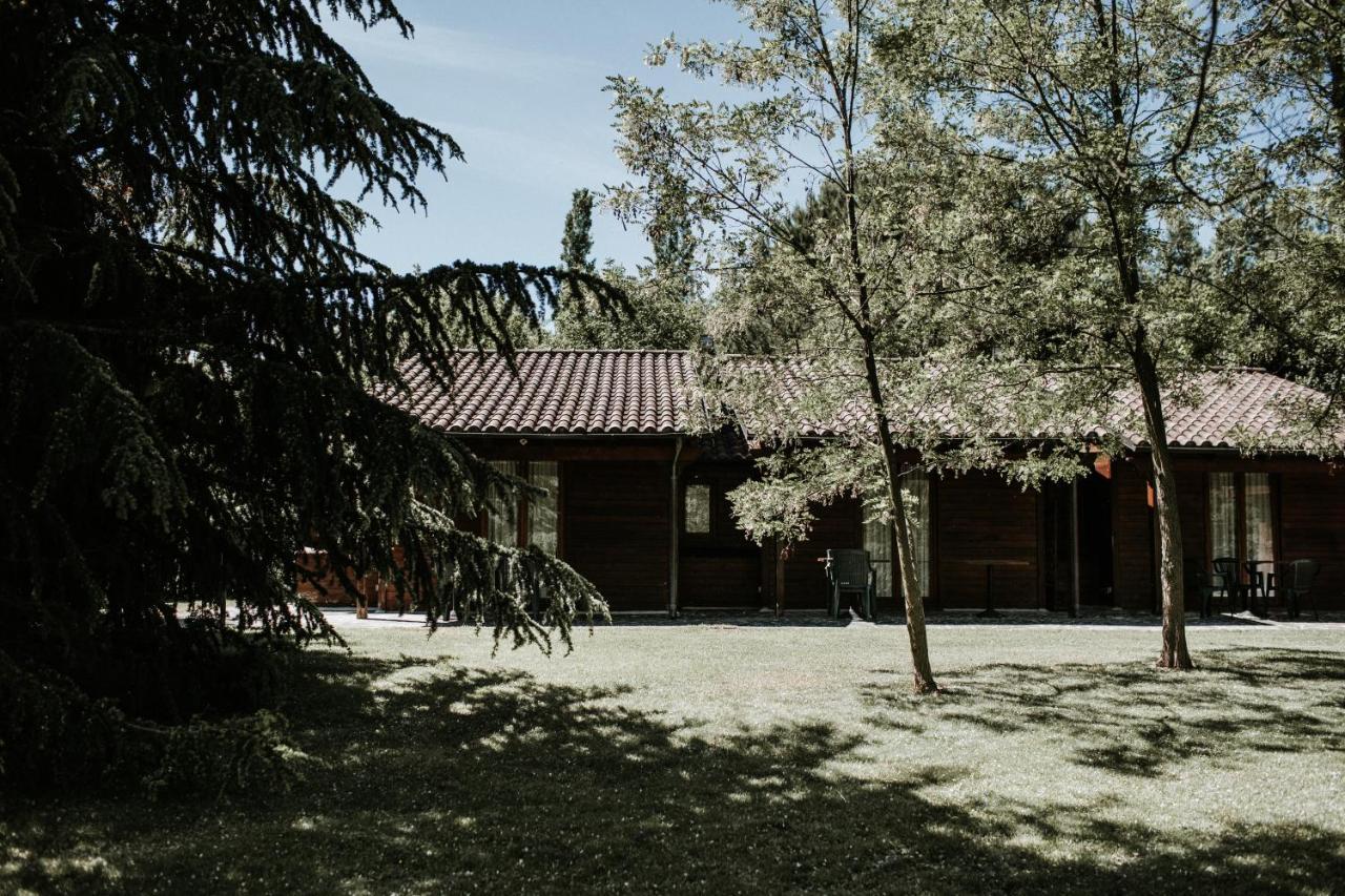 Bed and Breakfast L'Anfora Country Club Basciano Екстер'єр фото