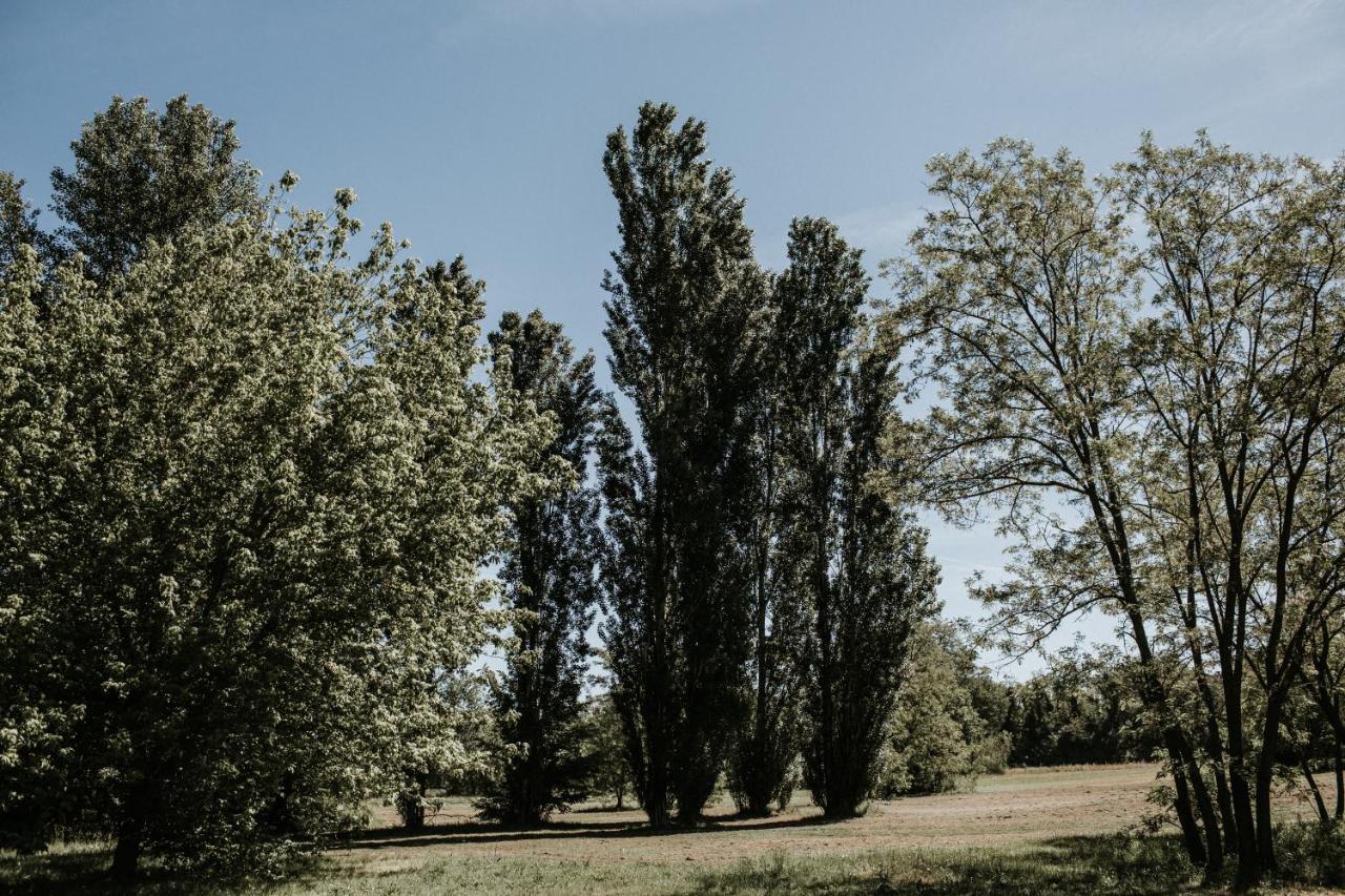Bed and Breakfast L'Anfora Country Club Basciano Екстер'єр фото